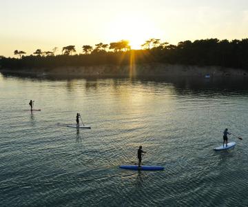 Stand Up Paddle