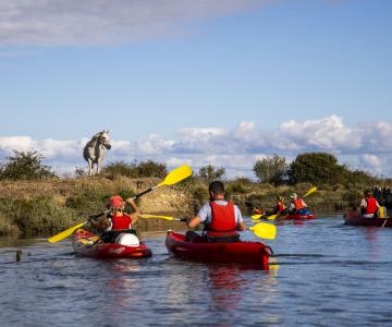 Kayak