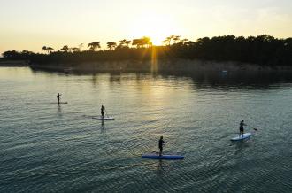 Stand Up Paddle