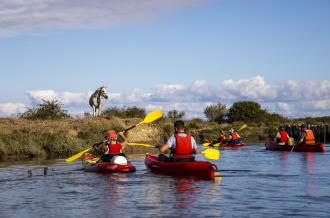 Kayak