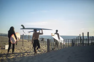 Surf