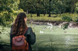 Marais aux oiseaux - Dolus d'Oléron