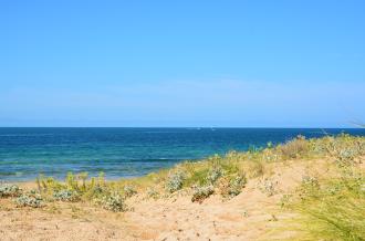 La Perroche, Dolus d'Oléron