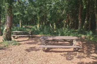Aire de pique-nique Marais aux Oiseaux_Dolus-d'Oléron