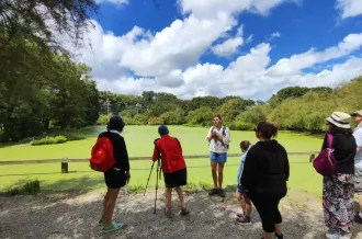 La visite guidée du Marais aux Oiseaux_Dolus-d'Oléron