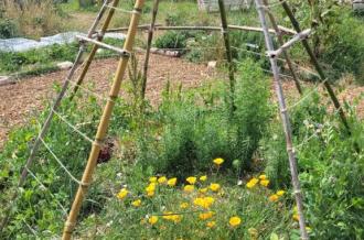 Visite du jardin de Terre d'éveils