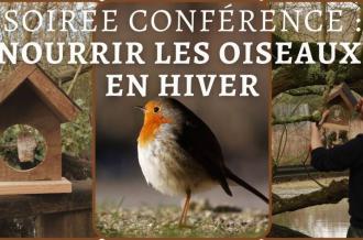 Soirée conférence : Nourrir les oiseaux en hiver_Dolus-d'Oléron