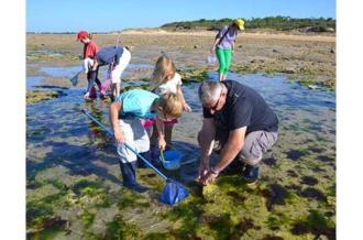 Pêche à pied écologique estran rocheux_Dolus-d'Oléron