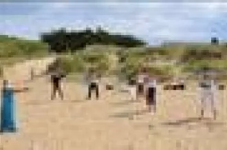 Cours d'essai de Qi Gong et de Danse TAO_Dolus-d'Oléron