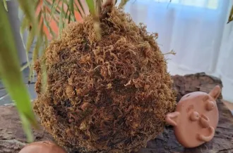 Atelier céramique Sifflets