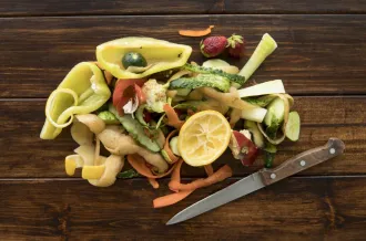 Atelier comment réutiliser ses déchets de table - Terre d'éveils