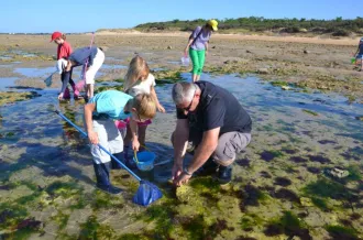 Pêche à pied écologique - L'Ecuissière_Dolus-d'Oléron
