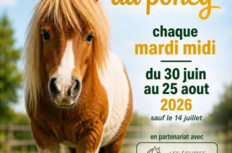 Rencontre avec le poney au McDonald's