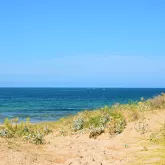 La Perroche, Dolus d'Oléron