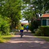 Les campings de Dolus d'Oléron