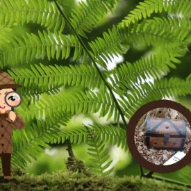 Enquête au Marais_Dolus-d'Oléron