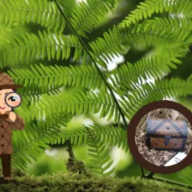 Enquête au Marais_Dolus-d'Oléron