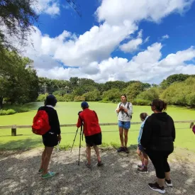 La visite guidée du Marais aux Oiseaux_Dolus-d'Oléron