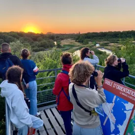 Le coucher des aigrettes_Dolus-d'Oléron
