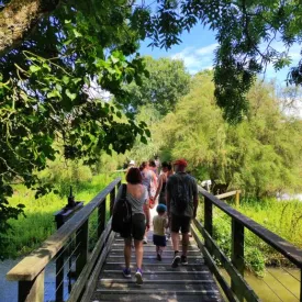 Le sentier de découverte_Dolus-d'Oléron