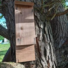 Atelier construction d'un abri à Chauve-souris
