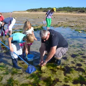 Pêche à pied écologique - L'Ecuissière_Dolus-d'Oléron