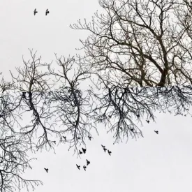 Exposition photographique - Alentours