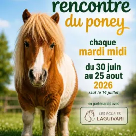 Rencontre avec le poney au McDonald's