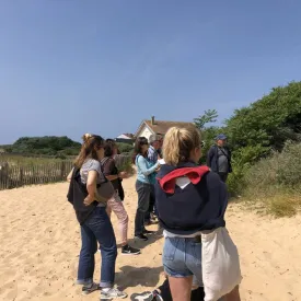 sortie plantes