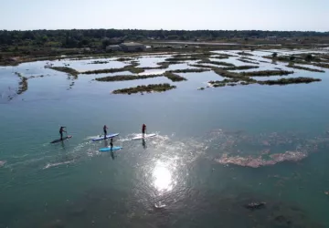 Balade paddle !