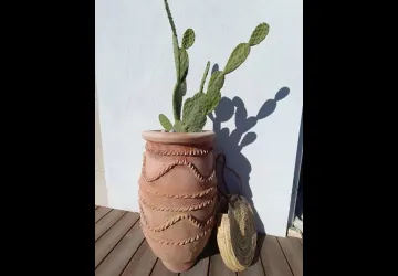 Villa clair de dune_Saint-Georges-d'Oléron