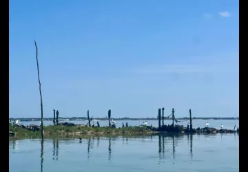 Entre mer et marais