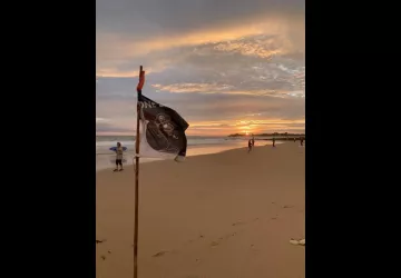 Pirate Surf School