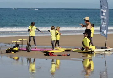 Surf