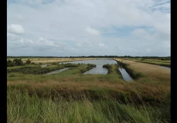 Marais du Douhet