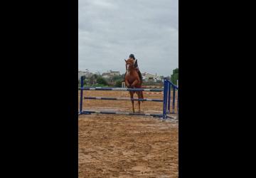 Centre saut