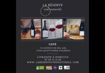 Vins