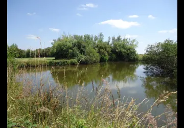 Reserve-Moeze-Oleron-LPO-paysage