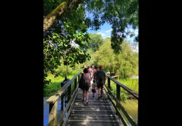 La visite guidée du Marais aux Oiseaux_Dolus-d'Oléron