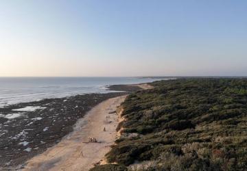 L'homme de l'île guide touristique_Dolus-d'Oléron