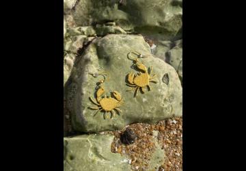 Boucles crabes