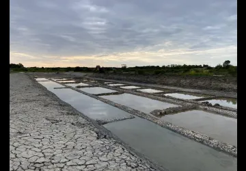 Sel océan Ile d'Oléron_Le Château-d'Oléron