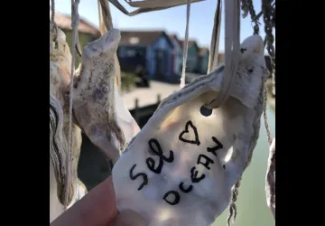 Sel océan Ile d'Oléron_Le Château-d'Oléron