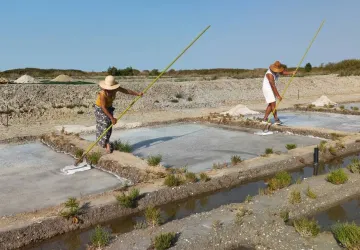 Sel océan Ile d'Oléron_Le Château-d'Oléron
