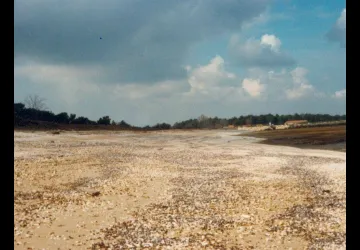 La plage et ses secrets - chasse au trésor_Dolus-d'Oléron