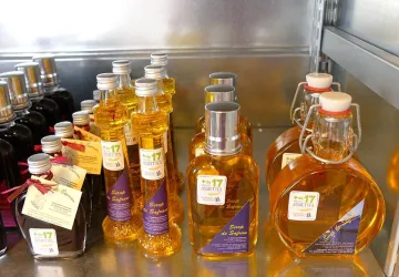 Safran de Marennes_Marennes-Hiers-Brouage